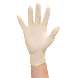 4-100 Vinyl Gloves Lrg Pwdr Free | Styled