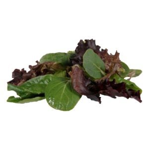 Spring Mix 1-1lb | Raw Item