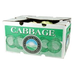 Green Cabbage | Corrugated Box