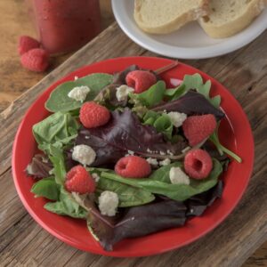 Plate Salad 7.25" Red | Styled