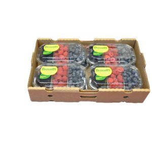 Rainbow Berry Pack | Packaged