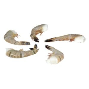 Tiger Shrimp | Raw Item