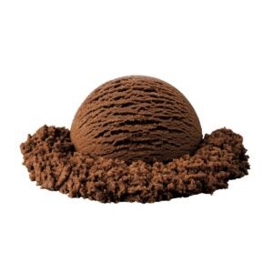 Chocolate Hard Serve Ice Cream | Raw Item