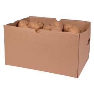 POTATO KENNEBECK 1-50# | Packaged