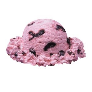 1-3GAL ICE CREAM BLK CHERRY | Raw Item