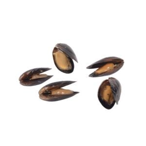 Cooked Canadian Mussels | Raw Item