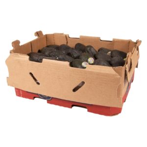 AVOCADO #2 HASS 48CT | Packaged