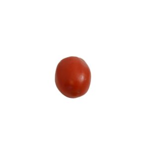 TOMATO ROMA #2 5# | Raw Item