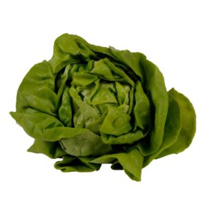 Bibb Lettuce | Raw Item