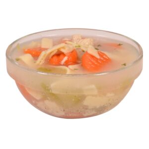 Chicken Noodle Soup | Raw Item