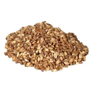 Farro | Raw Item