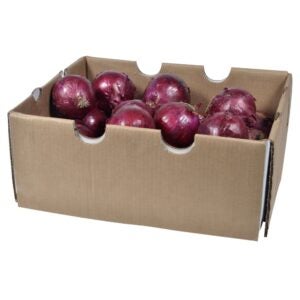 Jumbo Red Onions | Packaged