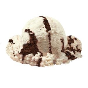 Fudge Swirl Ice Cream | Raw Item