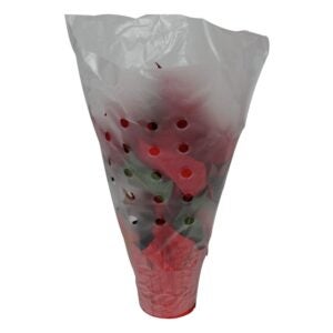 Red Holiday Poinsettia | Packaged