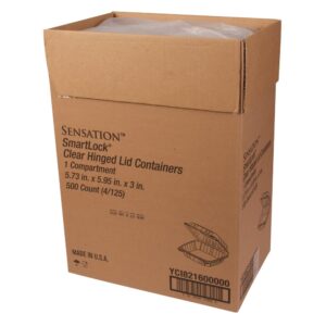 Clear Plastic Hinged Container | Packaged