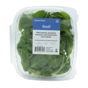 Fresh Basil | Packaged