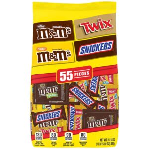 Chocolate Candy Fun Size Variety Pack | Packaged