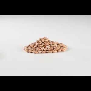 Pre-washed Pinto Beans | Raw Item