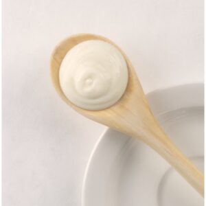 Vanilla Notfat Greek Yogurt | Styled