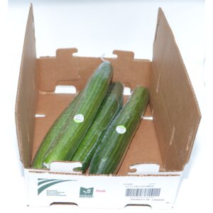 CUCUMBER ENG 4-1CT | Packaged