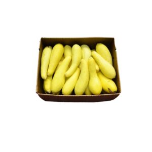 Yellow Squash | Packaged