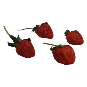 STRAWBERRY STEM-ON 4-1# P/L | Raw Item