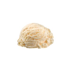 Premium Vanilla Ice Cream | Raw Item