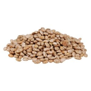 Pinto Beans | Raw Item