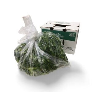 CILANTRO BUNCHED 30CT RSS | Styled