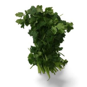 CILANTRO BUNCHED 30CT RSS | Raw Item