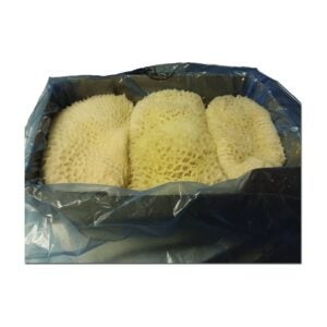 Beef Honey Comb Tripe | Packaged