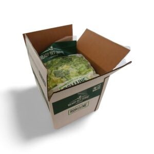 Fresh-Cut Romaine Lettuce | Packaged