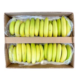 Single Turning Bananas, 150 count | Packaged