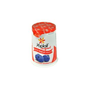 Blueberry Yogurt | Packaged