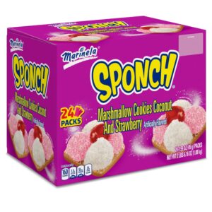 Sponch Club Box | Packaged