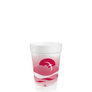 Foam Cups, 16 oz. | Raw Item