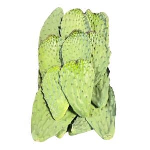 Cactus Leaves Nopal | Raw Item