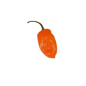 Habanero Pepper | Raw Item