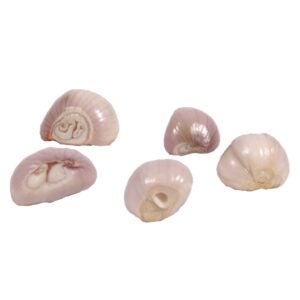 PRODUCE SHALLOTS WHOLE PEELED 1/5# | Raw Item