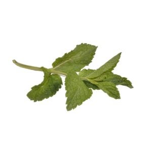 Mint Leaves | Raw Item
