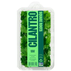 Fresh Cilantro | Packaged
