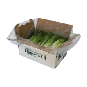 Romae Lettuce | Packaged