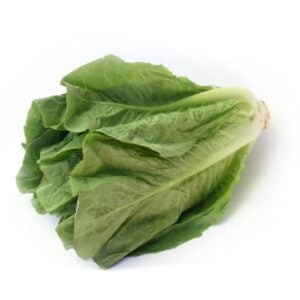 Romae Lettuce | Raw Item