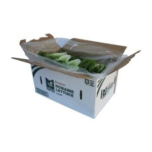 Romaine Lettuce | Packaged