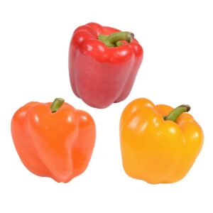 Mixed Colored Peppers 1-12ct | Raw Item