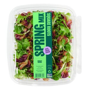 Spring Lettuce Mix | Packaged