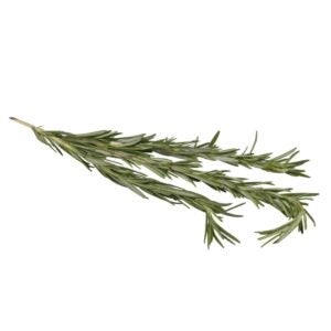 Rosemary | Raw Item