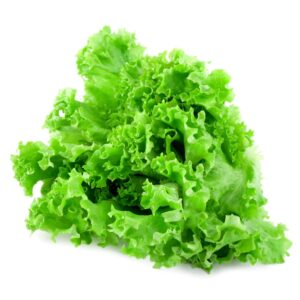 Leaf Lettuce | Raw Item