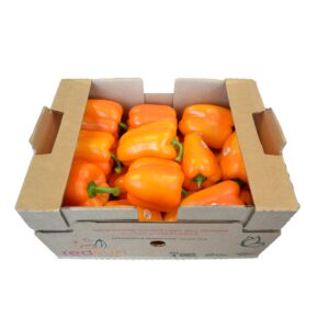 PEPPERS BELL ORANGE 1-11# | Packaged