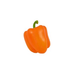 PEPPERS BELL ORANGE 1-11# | Raw Item